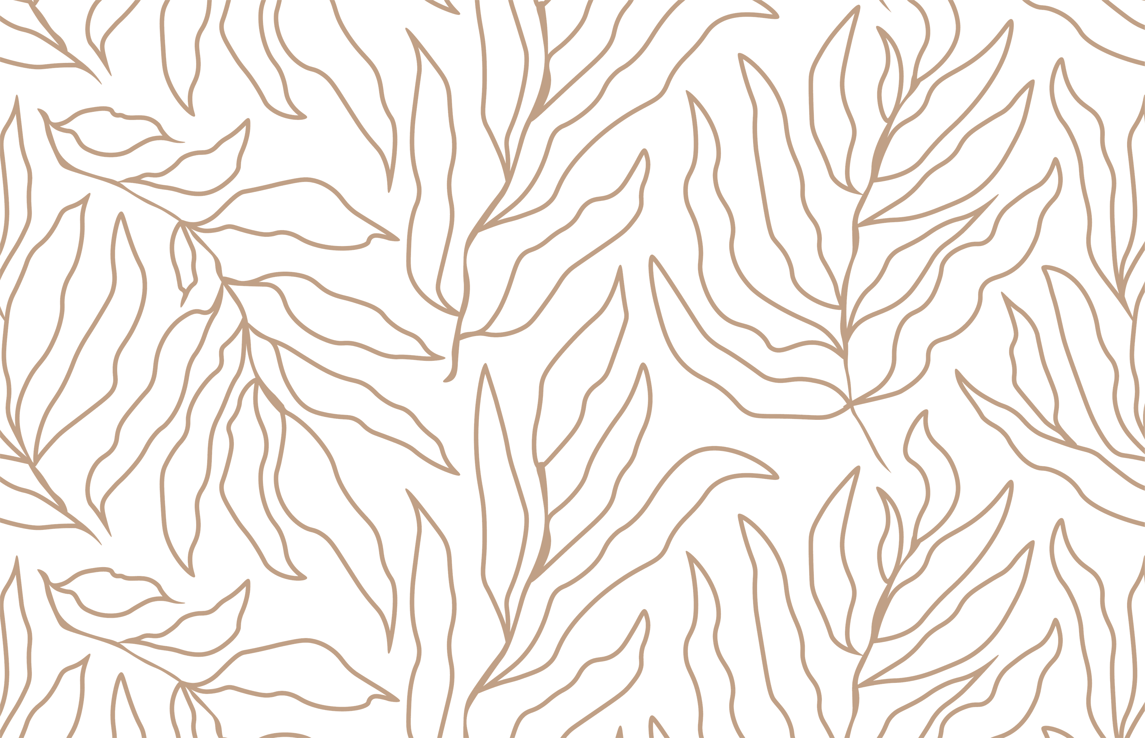 Textura Orgânica